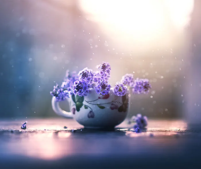 I Use Flowers To Create Magical Images