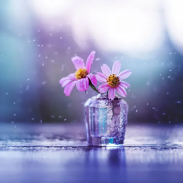 I Use Flowers To Create Magical Images