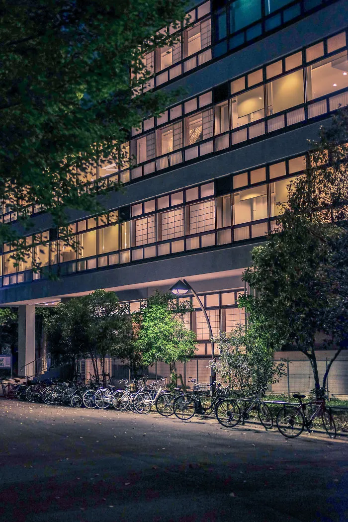 Why I Go Back To Tokyo Every Year To Photograph The City
