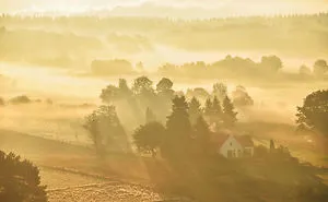 I Documented The Seasonal Change Of Nature  Within 15-Minute Cycling From My House