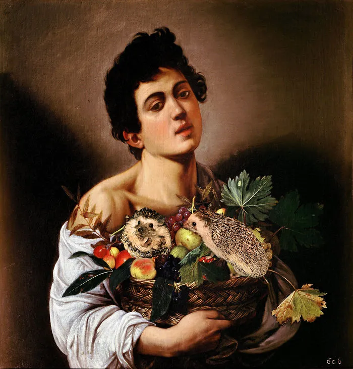 Caravaggio's Boy With Hedgehogs