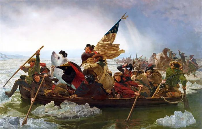 Hedgehog Crossing The Delaware