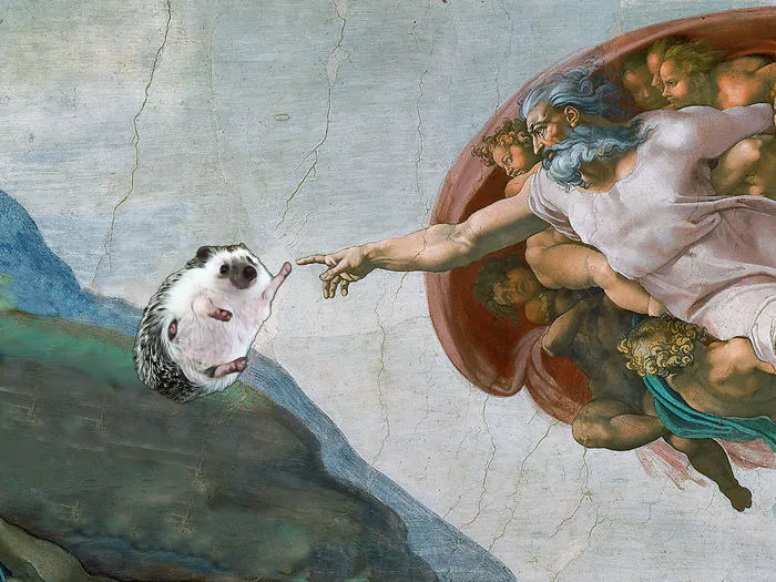 The Creation Of Hedgehog