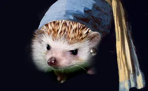 The Amazing World Of Hedgehog Art History