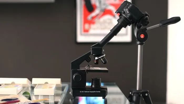 Italian Artist Create Micro-Painting With Microscope And Dslr Camera.