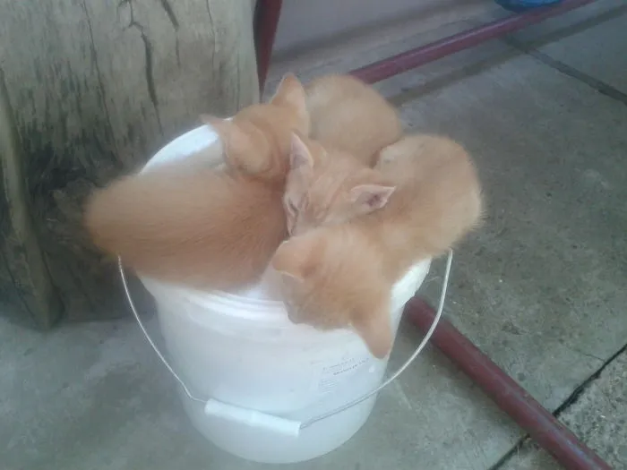 Looks Safe