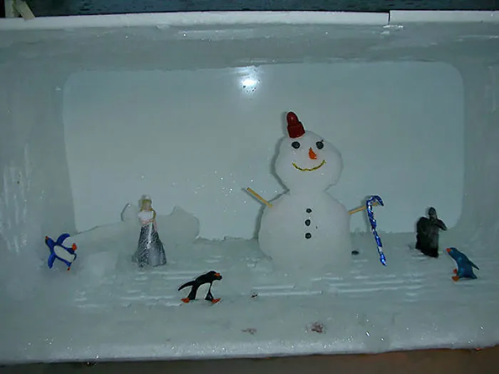 Went To Defrost The Freezer. Seems My Roommate Has Been Having Some Fun