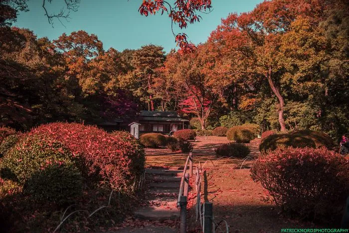 How Tokyo Saved My Artistic View On Photography