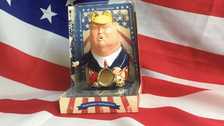 How A Trump-Lucky-Cat Wants To Change The World.