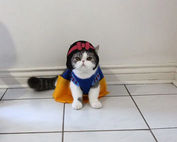Grumpy Snow