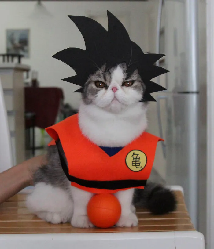 In Search For My 6 Other Balls
