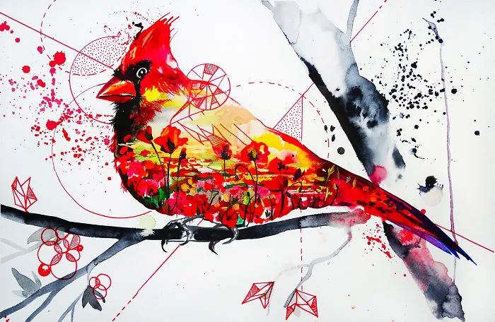 Northern Cardinal