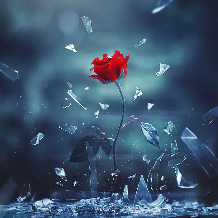 I Use Flowers To Create Magical Images