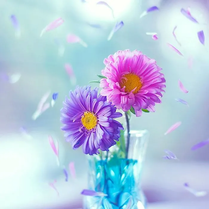 I Use Flowers To Create Magical Images