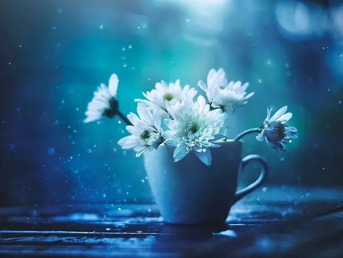 I Use Flowers To Create Magical Images