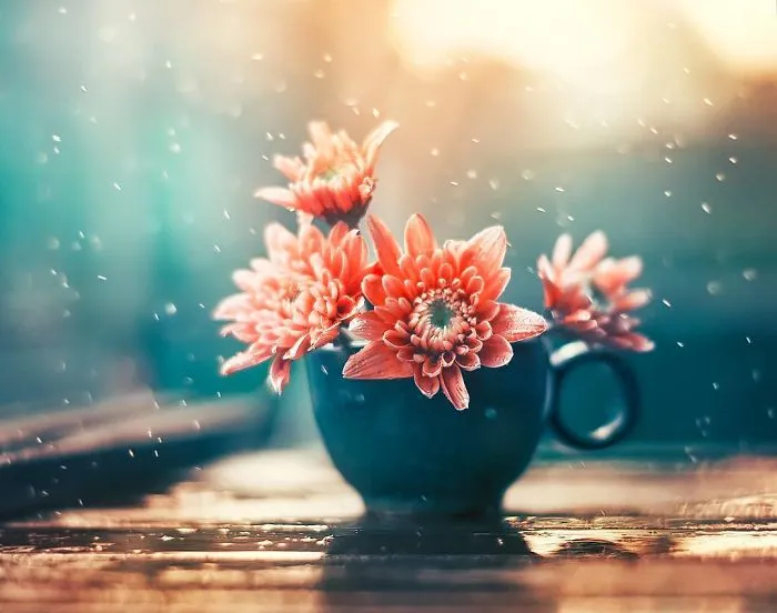 I Use Flowers To Create Magical Images