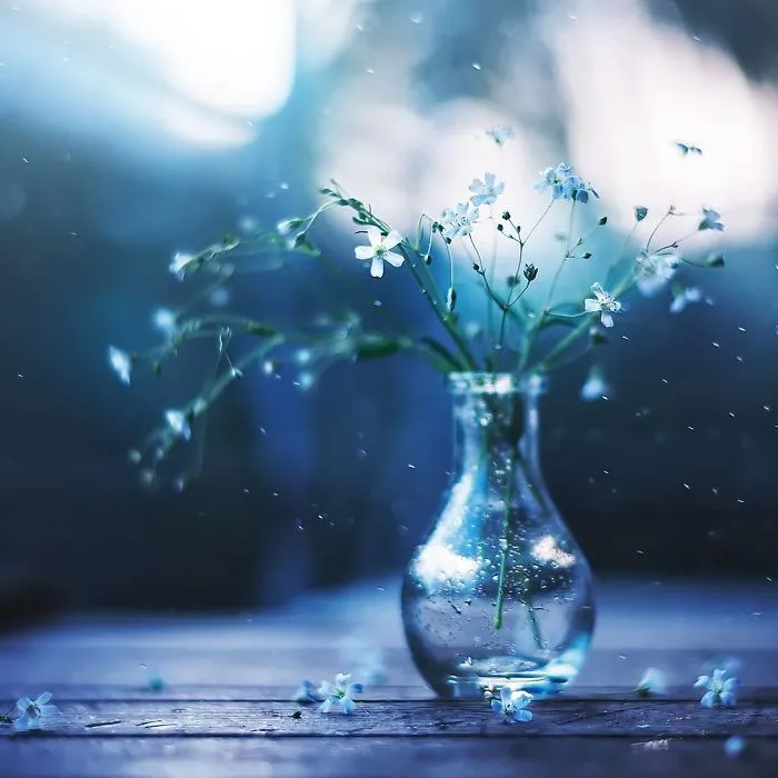 I Use Flowers To Create Magical Images