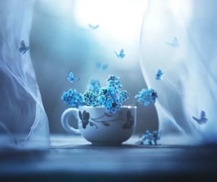 I Use Flowers To Create Magical Images