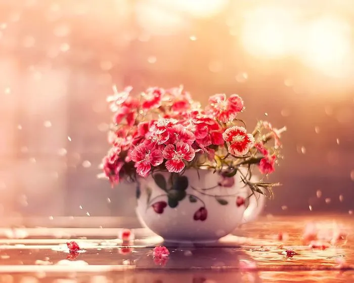 I Use Flowers To Create Magical Images