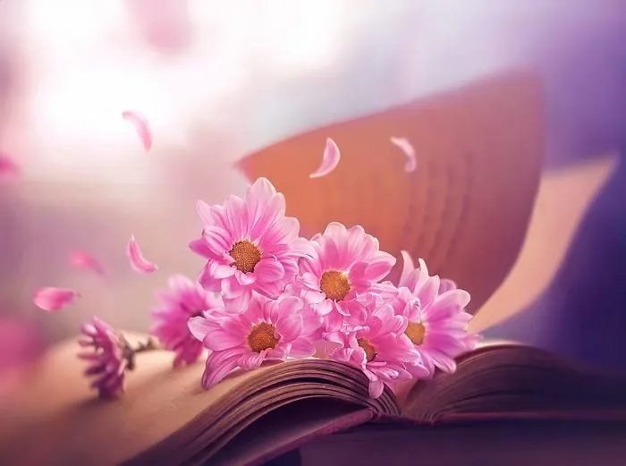 I Use Flowers To Create Magical Images