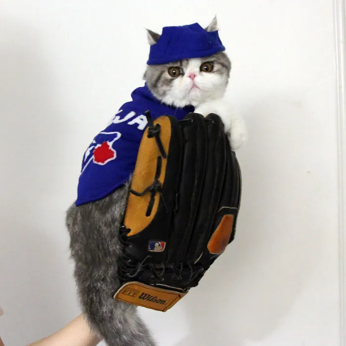 Go Jays Go