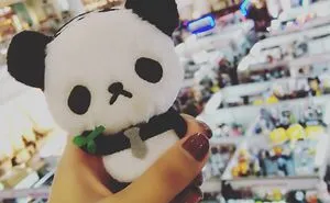 Making Sad Panda Smile Project: A Lonely Panda's Quest For Happiness