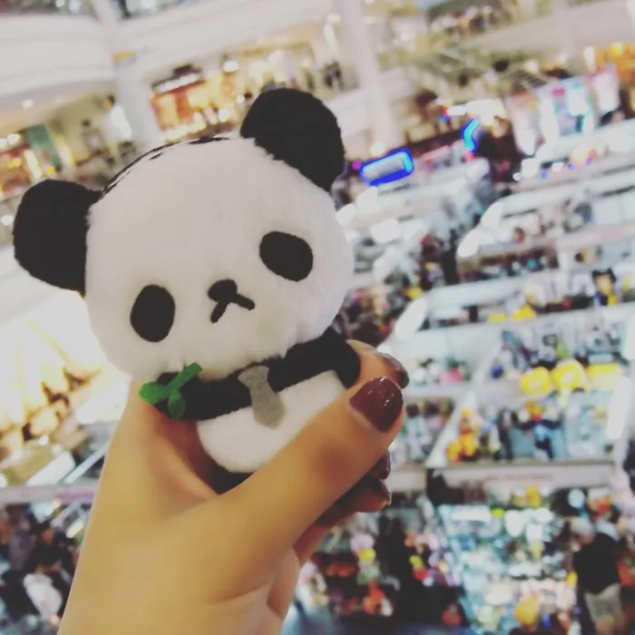 Making Sad Panda Smile Project: A Lonely Panda's Quest For Happiness