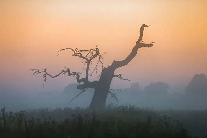 My Misty Fairy Land In Poland