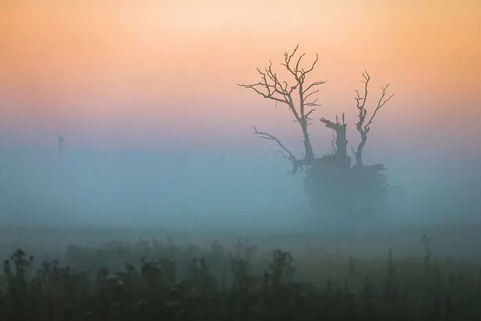 My Misty Fairy Land In Poland