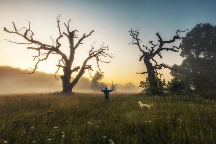 My Misty Fairy Land In Poland