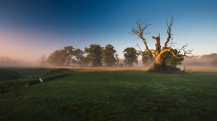 My Misty Fairy Land In Poland