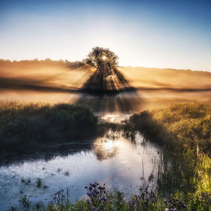 My Misty Fairy Land In Poland