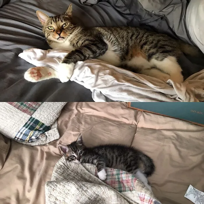 Some Things Never Change