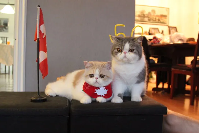 Canadian 150 Pride