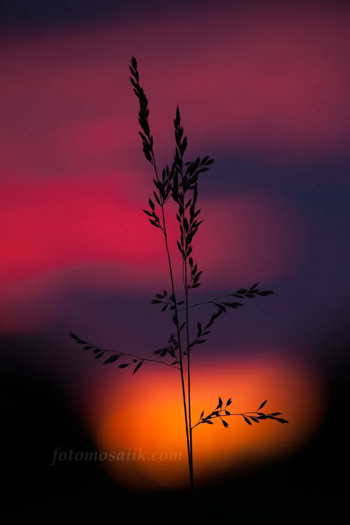 Estonia Sun Colors