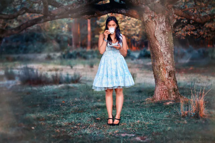 I Made My Own Wonderland Visible