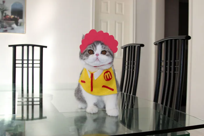 Your Neighbourhood's Chubby Mascot