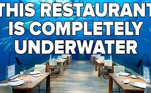 This Restaurant Is Underwater