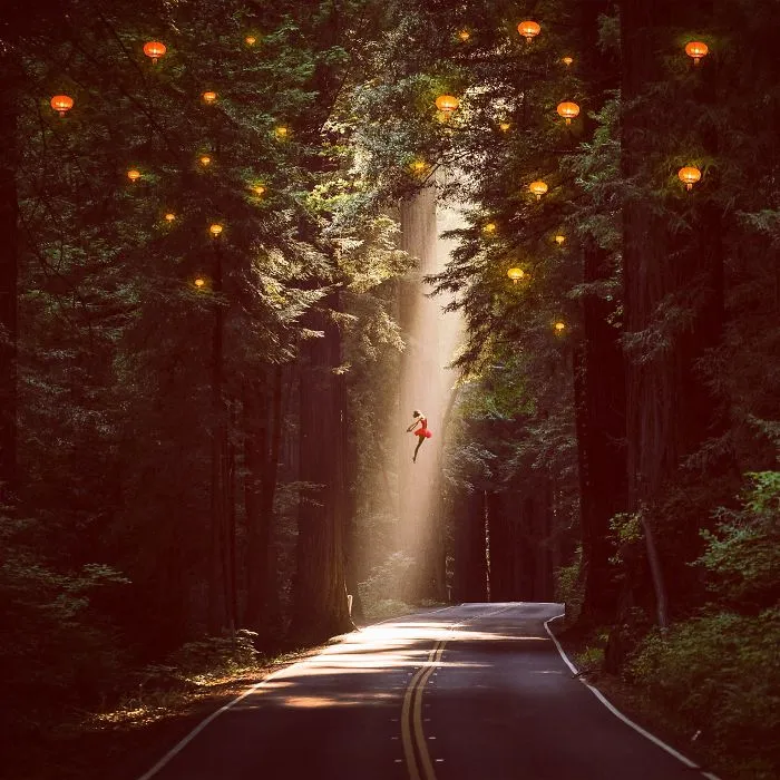 Spotlight