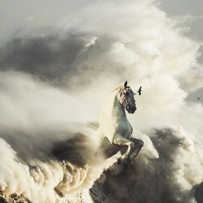 Pegasus On The Run
