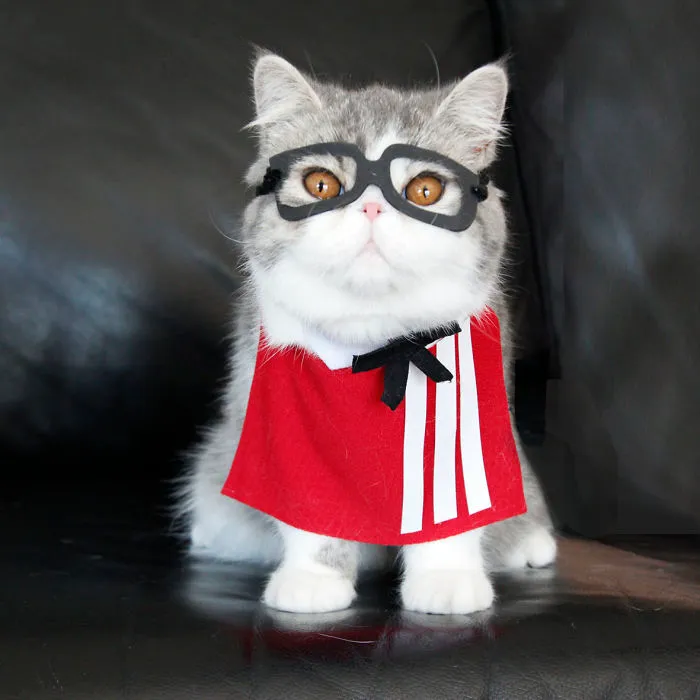 Kfcat