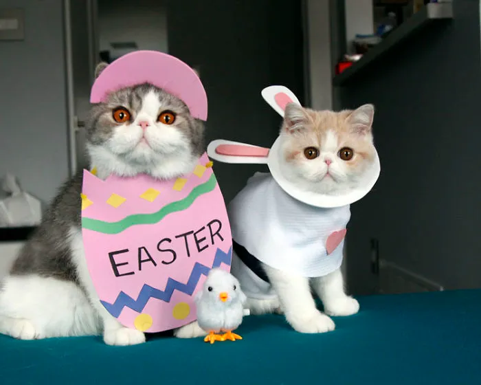 Happy Easter
