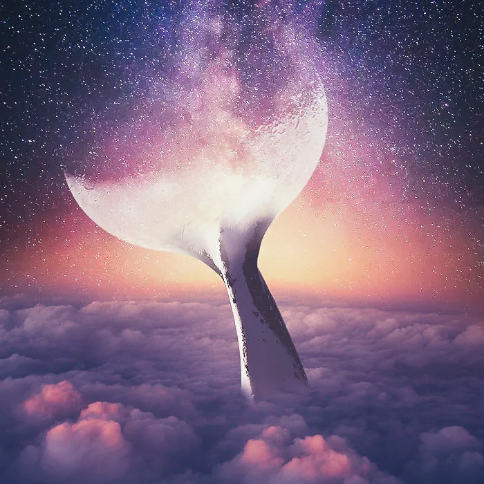 Moonwhale