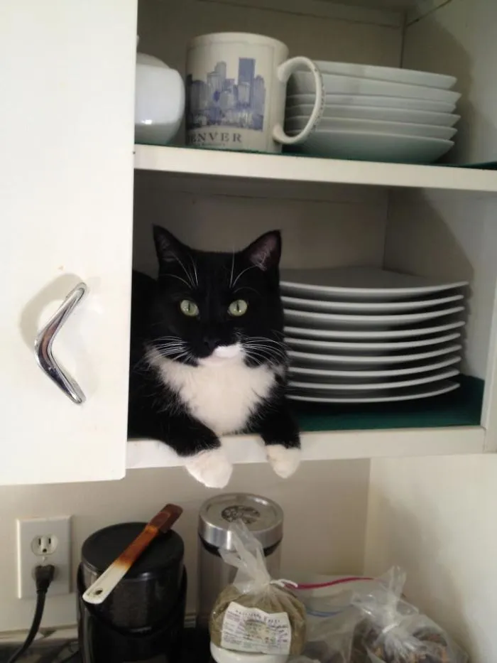 Nobody Here But Us Dishes