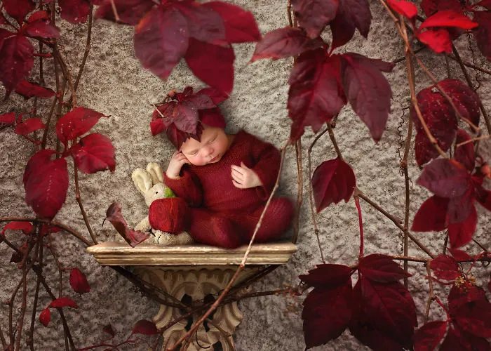 I Create Magical Settings For Newborn Pictures Using Photoshop