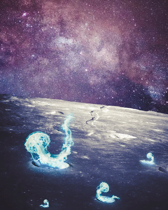 On The Moon