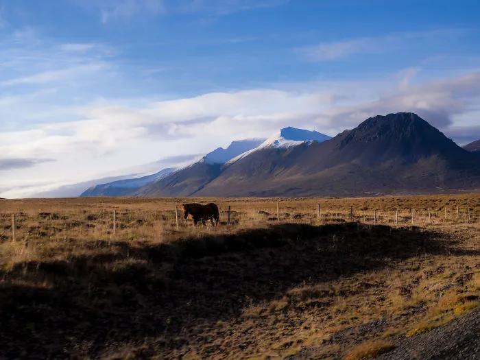 Iceland