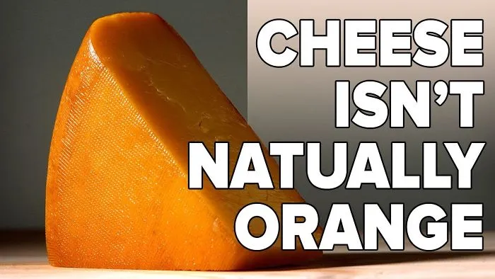 Cheesy Fun Facts