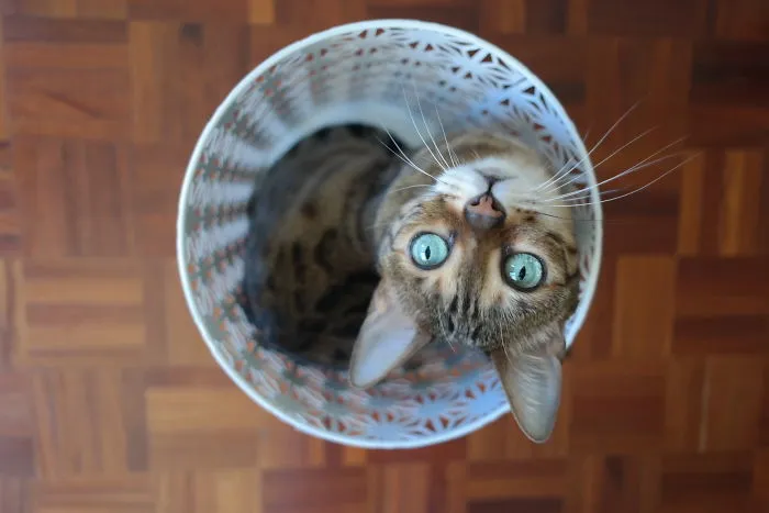 I Fits!