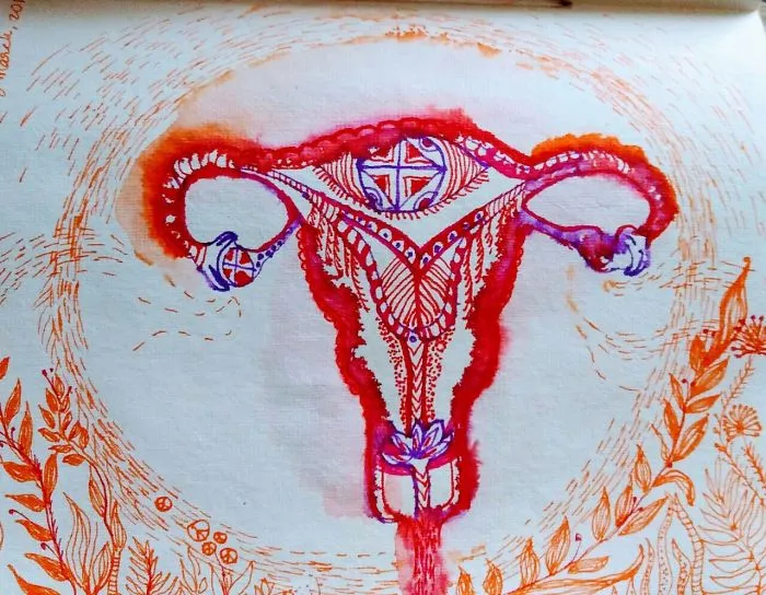Inside My Womb , Sketches Representing Phases Experienced By Artist Close To Labor And Birth.